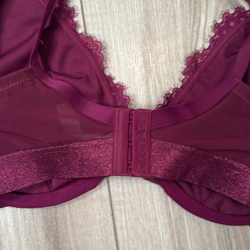 NWOT Cacique Lace Bra - 34 DDD(34F) - Picture 4 of 9